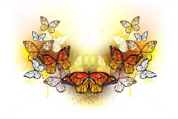Download Symmetrical Pattern of Butterflies - Pattern Collection